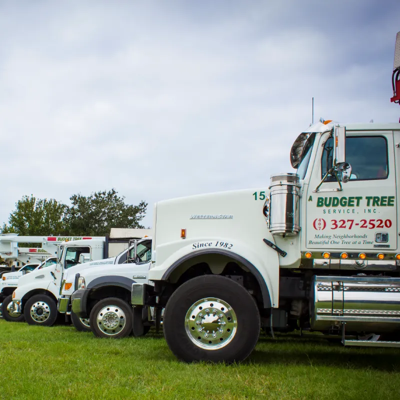 Trucks-main